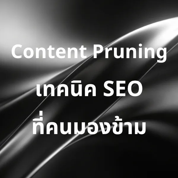 Content Pruning เทคนิคที่คนทำ SEO หลายคนมักมองข้าม